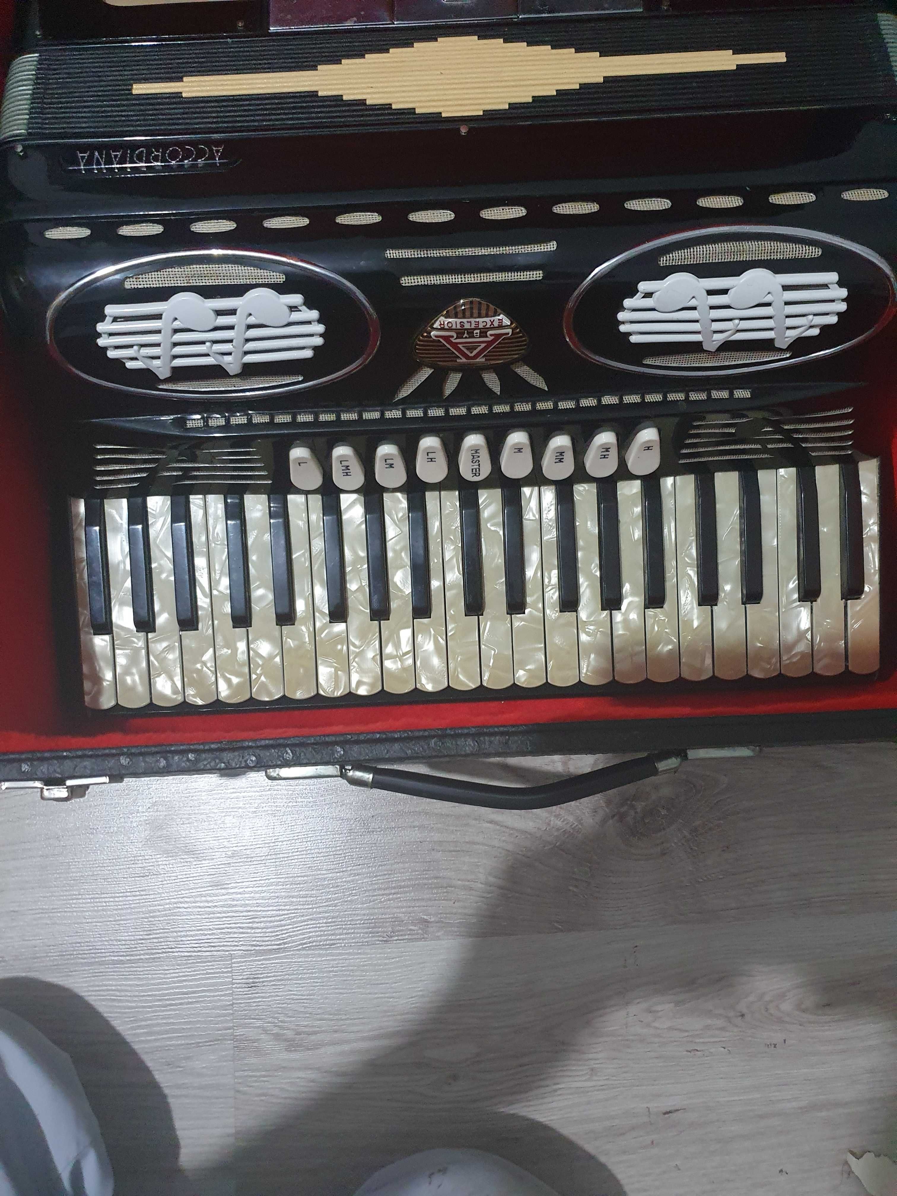 Akordeon excelsior accordiana 120