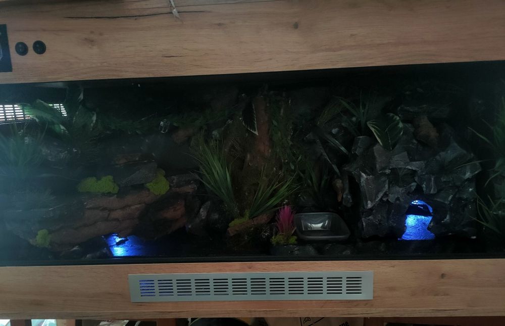 Terrarium 120x60x60 dla węża, jaszczurki,,agamy,gekona