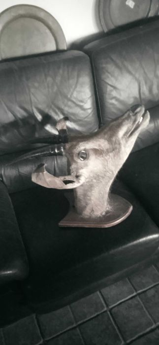 Réplica de cabeça de animal africano