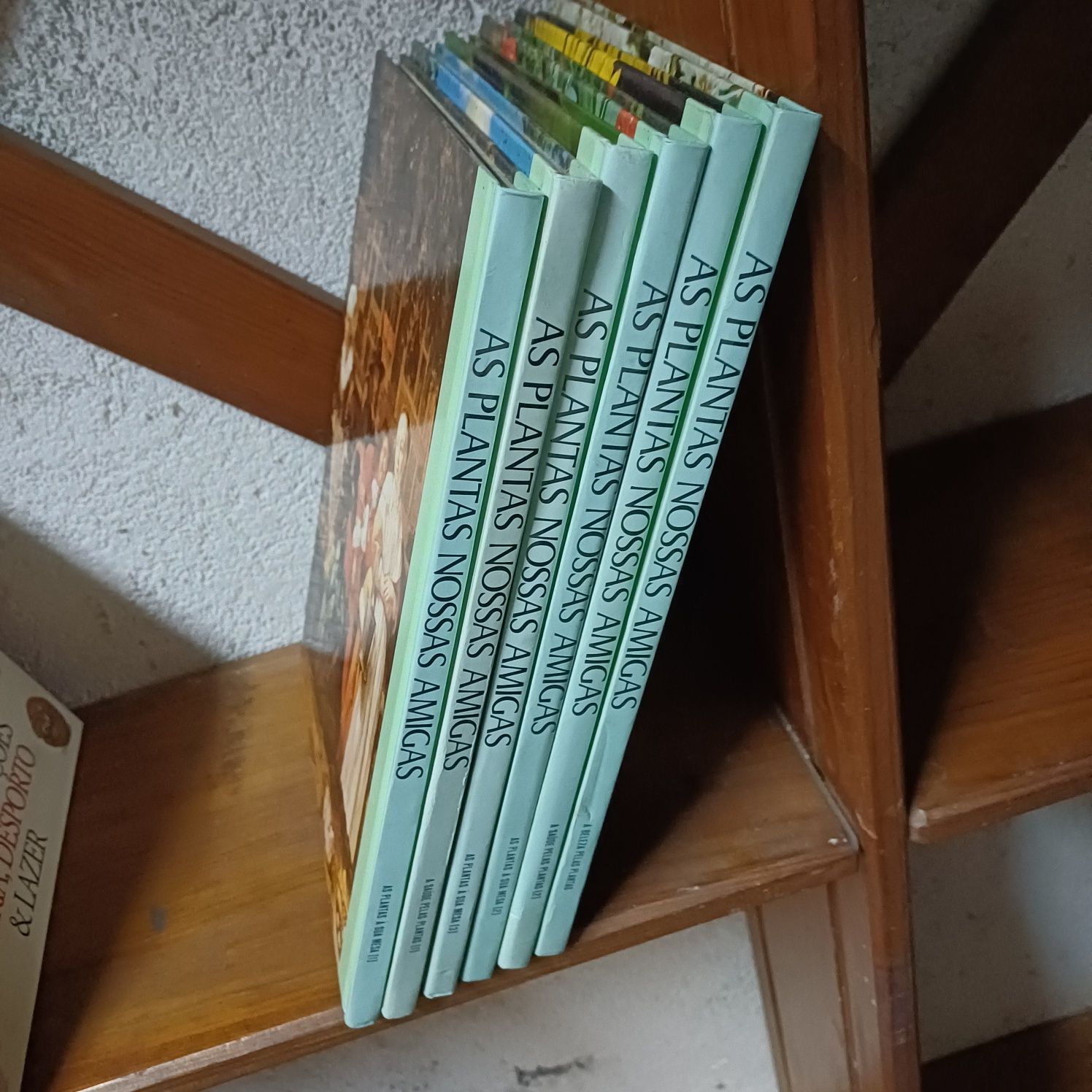 Livro sobre plantas e sua utilidade