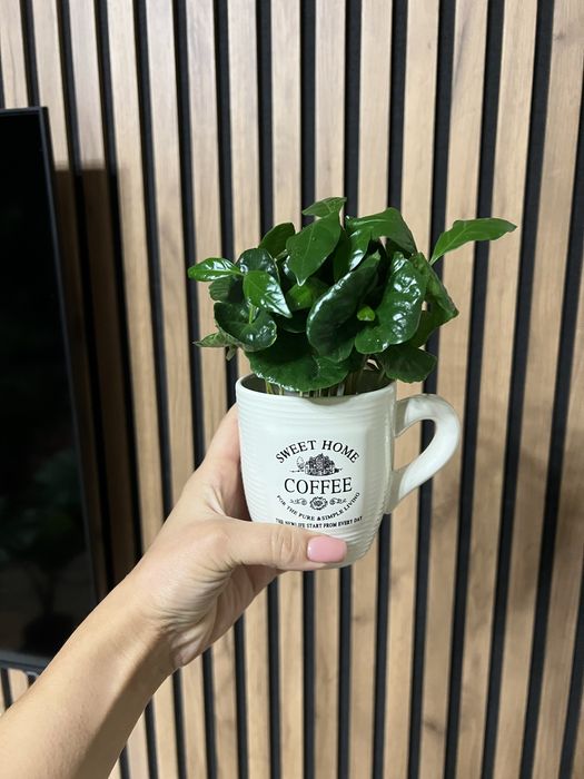 Кава арабіка в чашці