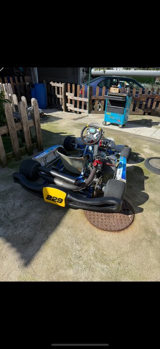 Rotax 125 como novo