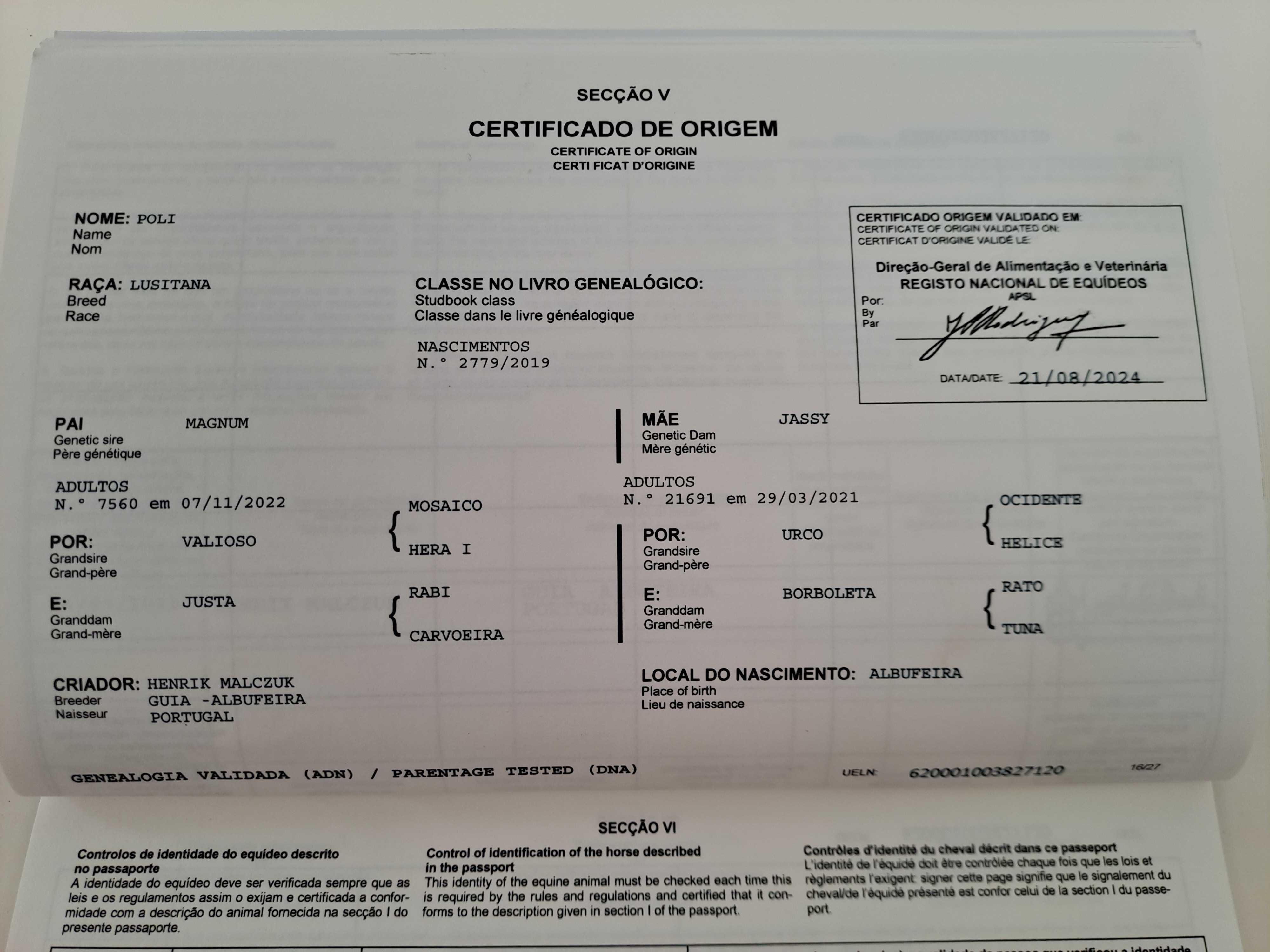Poli. Vendo égua lusitana de 6 anos