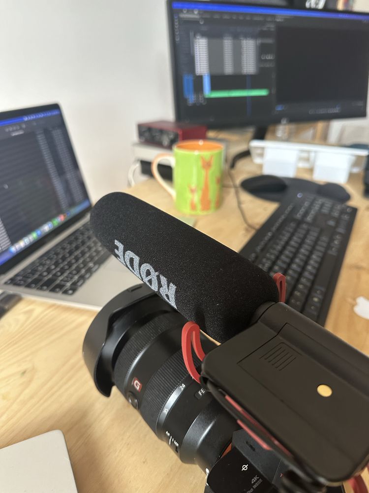 Microphone Rode Videomic