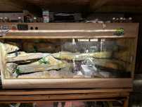 Terrarium poziome
