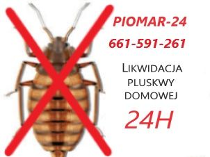 Odpluskwianie, usuwanie pluskiew, tępienie pluskwy, likwidacja pluskwy