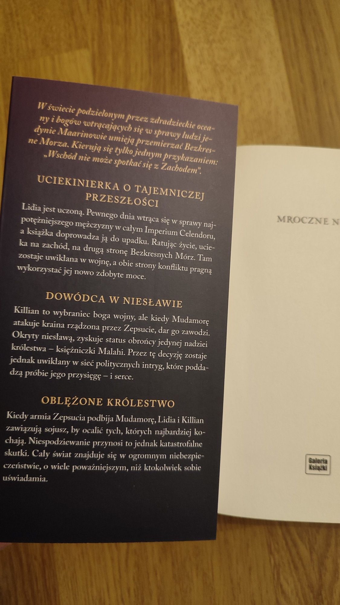 Mroczne niebo. Danielle L. Jensen