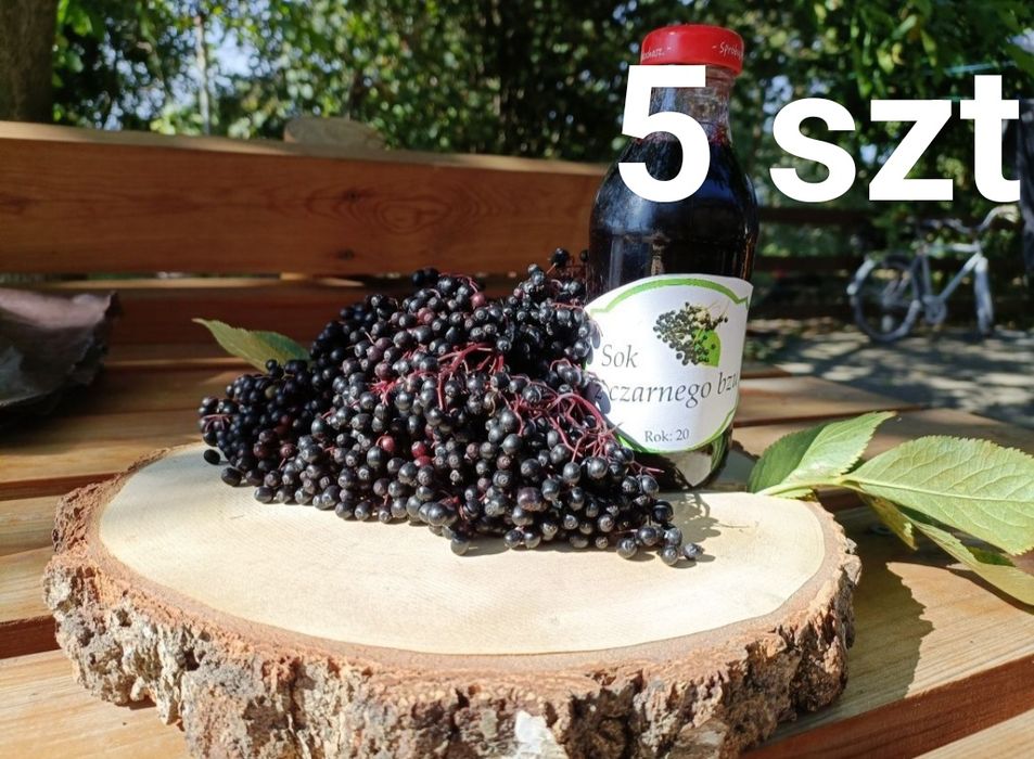 Sok z czarnego bzu 5 szt