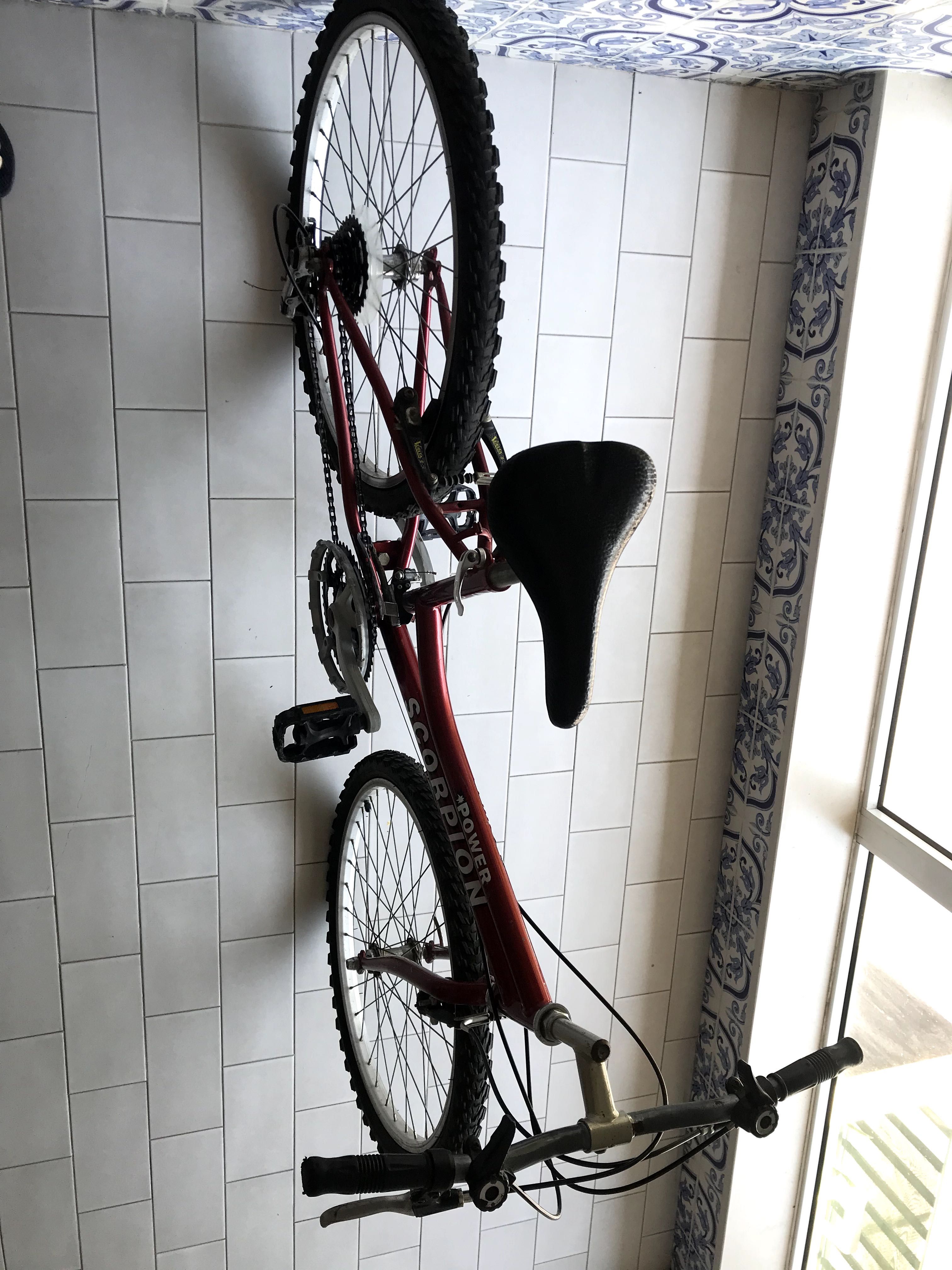 Bicicleta SCORPION