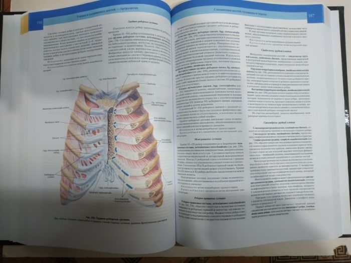 Атлас анатомии человека" в 4-х томах Синельников Р.Д. 2019г.