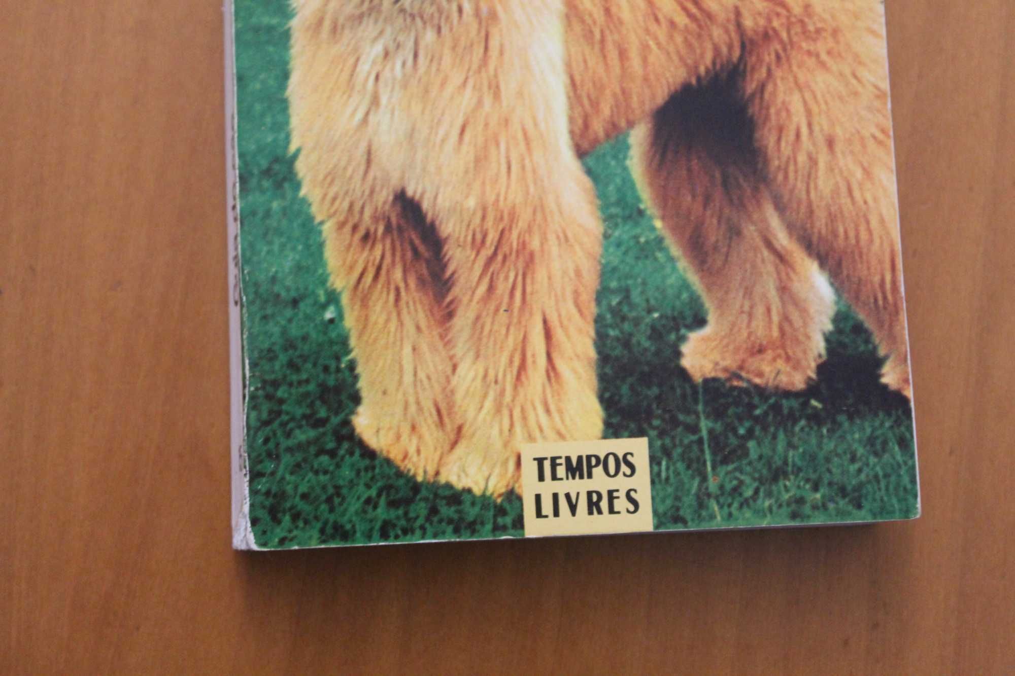 Guia do Cão - Tempos Livres