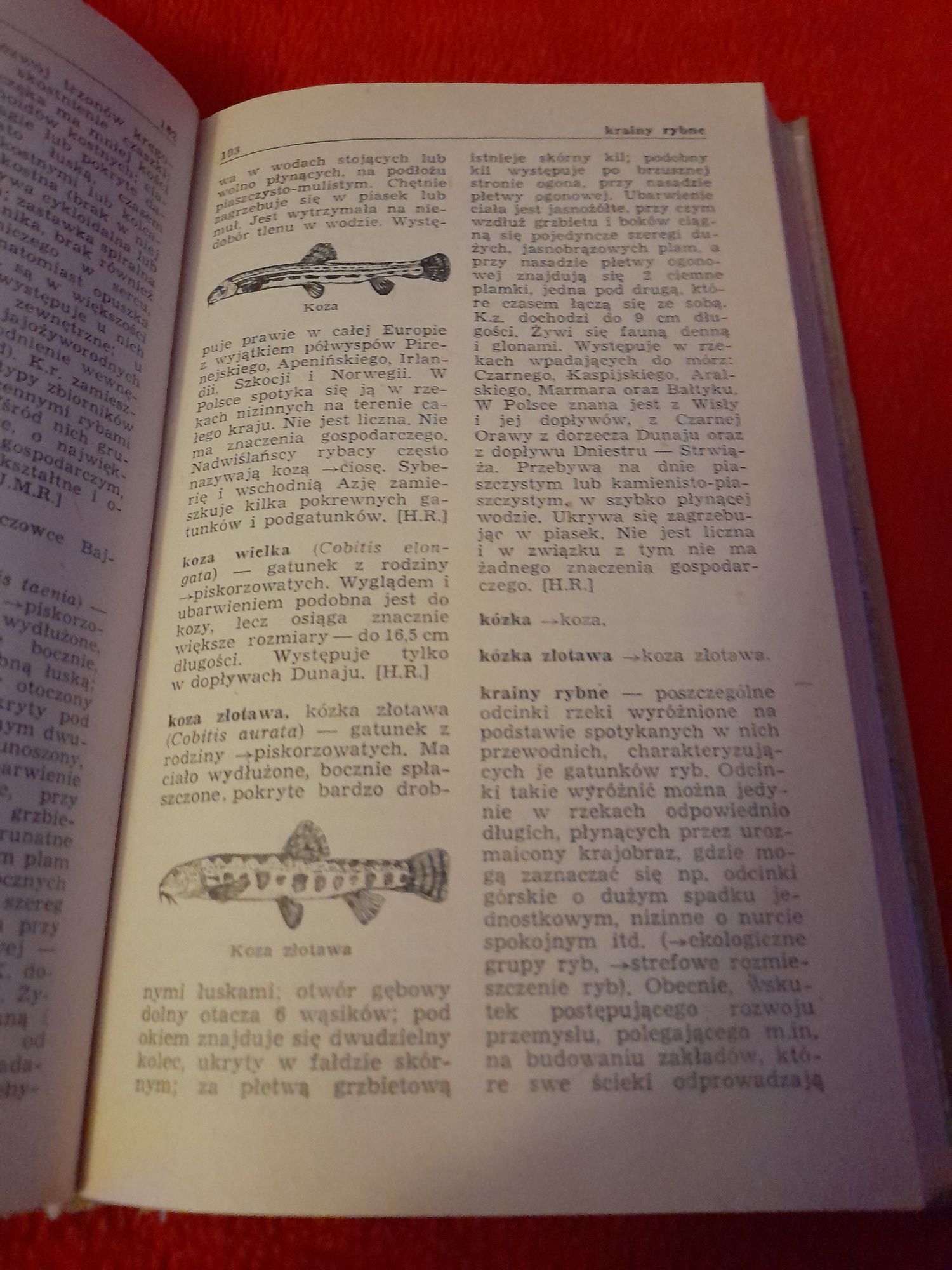 Mały słownik zoologiczny Ryby 1976 r