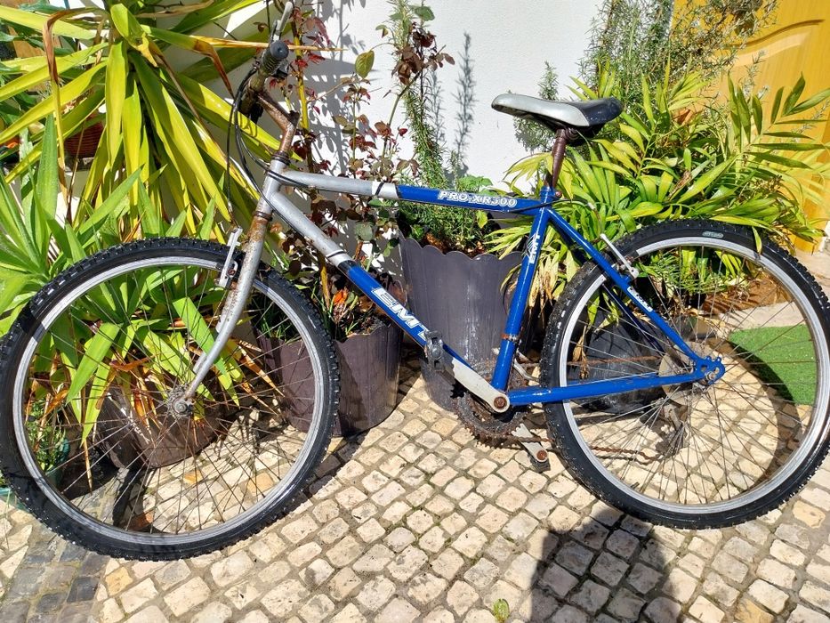 Bicicletas(precisam pequenas reparações)