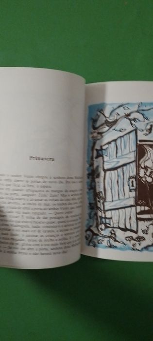Livro infantil Gato Tarzan