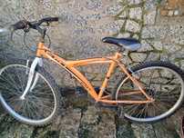 Bicicleta adulto