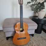 Gitara klasyczna Alvaro nr 20