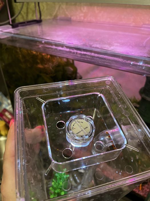 Аквариум пластиковый на 2 л