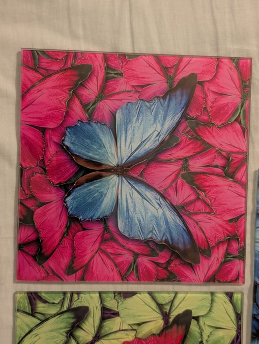3 obrazy motyle 20x20 komplet