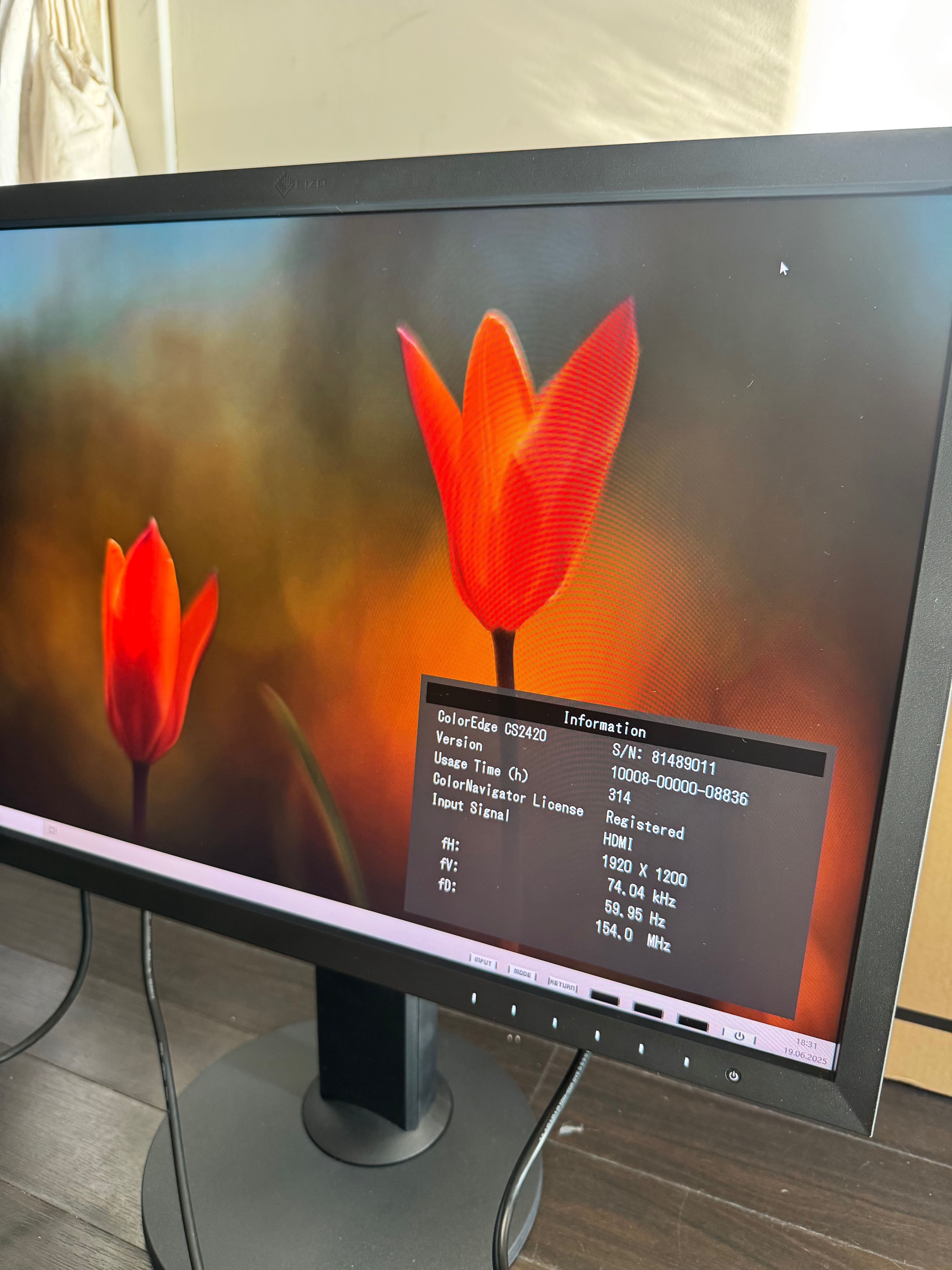 Monitor Eizo ColorEdge CS2420 | JAK NOWY | tylko 314 godzin pracy