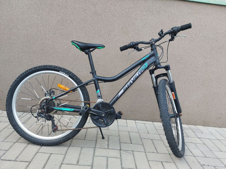 Rower Saveno spectro series 24"