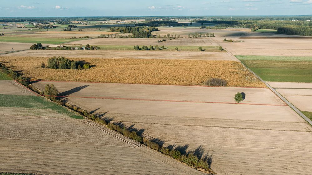 Piękna działka 1,2102 ha z dojazdem asfaltem – Paskudy, Ulan-Majorat