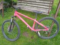Rower Kellys Whip10