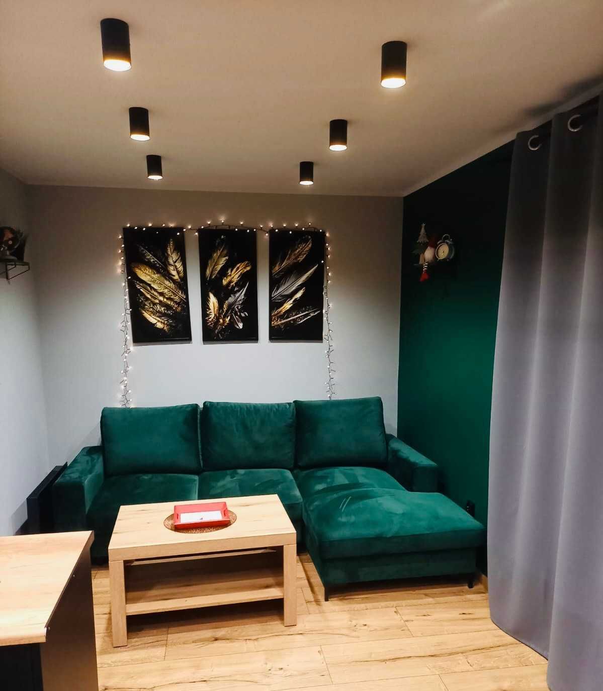 Domek/apartament z jacuzzi/balia i sauna nad jeziorem/pole namiotowe
