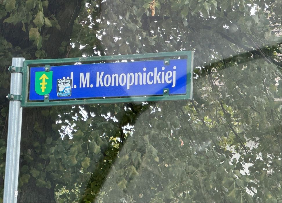 Działka Budowlano-Usługowa Krzyż Wlkp - Łokacz Mały