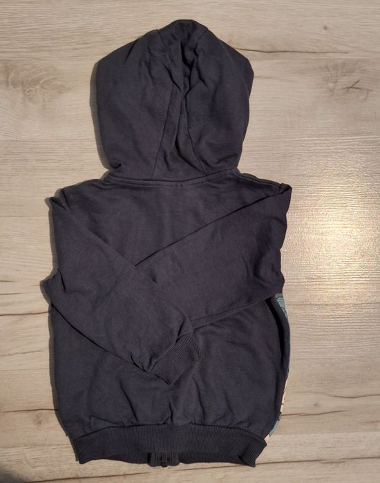 Bluza Buzz r. 98