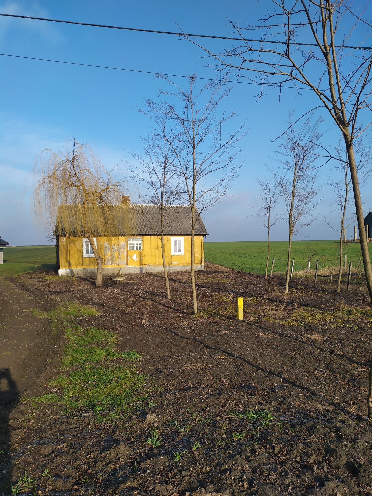 Dom drewniany  do remontu na działce 1200m²