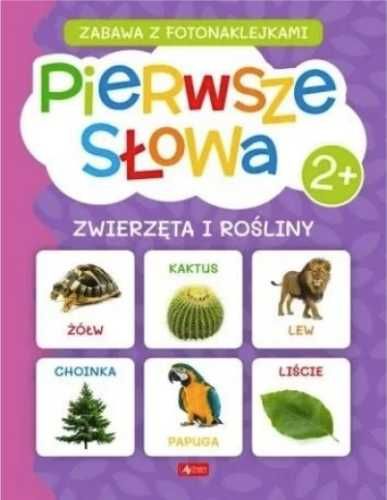 Pierwsze słowa. Zwierzęta i rośliny - praca zbiorowa