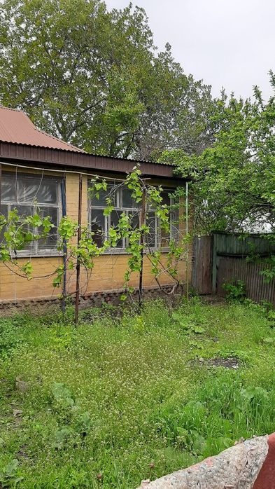 Продам будинок.  с.Чорноглазівка