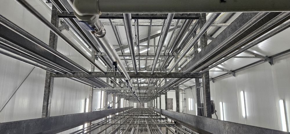 Z pieczarek wyposażenie