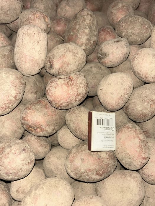 Ziemniaki czerwone 15 kg