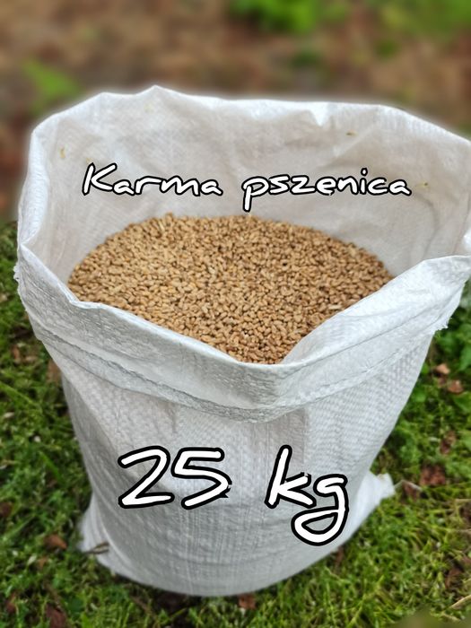 Pszenica Karma Pakowana w worki 25 kg Wysyłka natychmiast Inpost