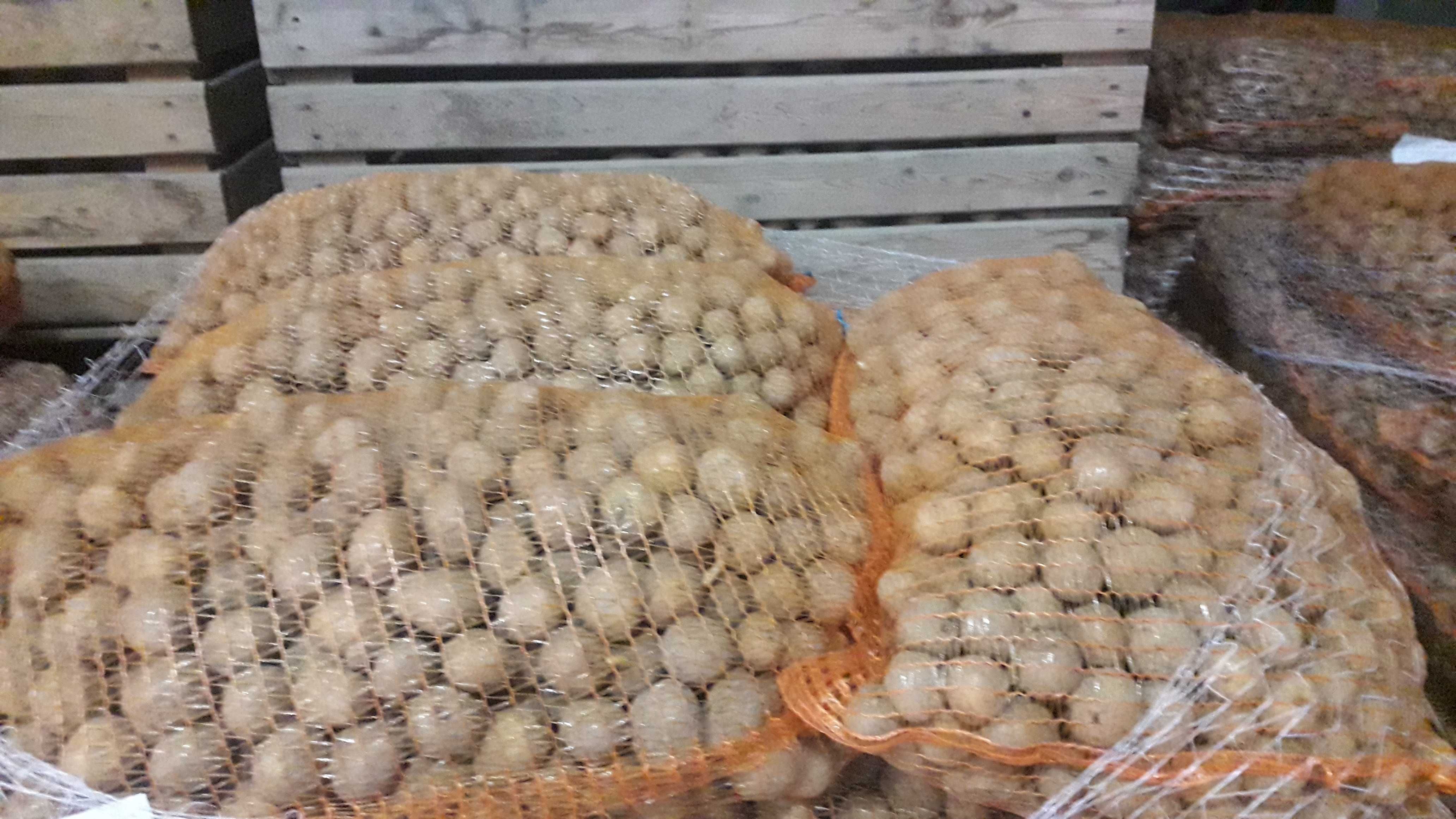 Ziemniaki jak sadzeniaki kaliber 35 -50 wineta  vineta Soraya  świeże