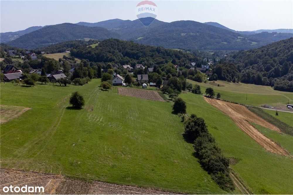 Grunty 5 400 m² – widok, las i działka z Wz