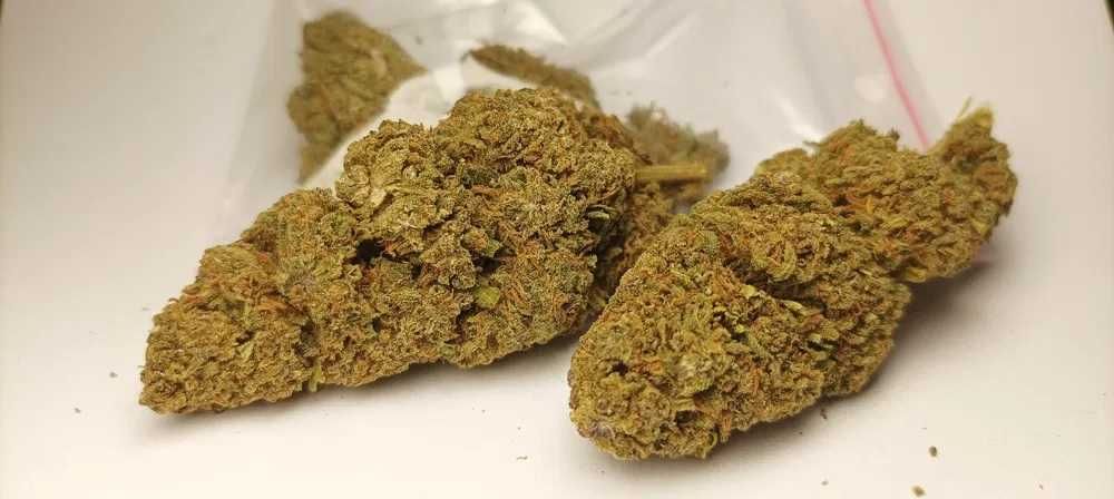 1G Susz AMNESIA 33% (THCP HHCO) marihuana