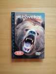 Film DVD "Niedźwiedzie w zbliżeniu"