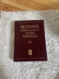 Słownik współczensego języka polskiego