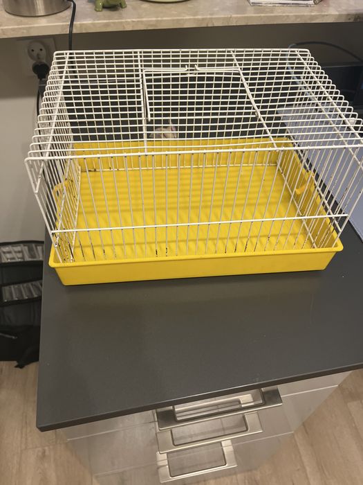 klatka dla chomika