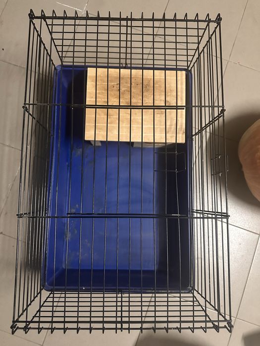 Клітка для кролика