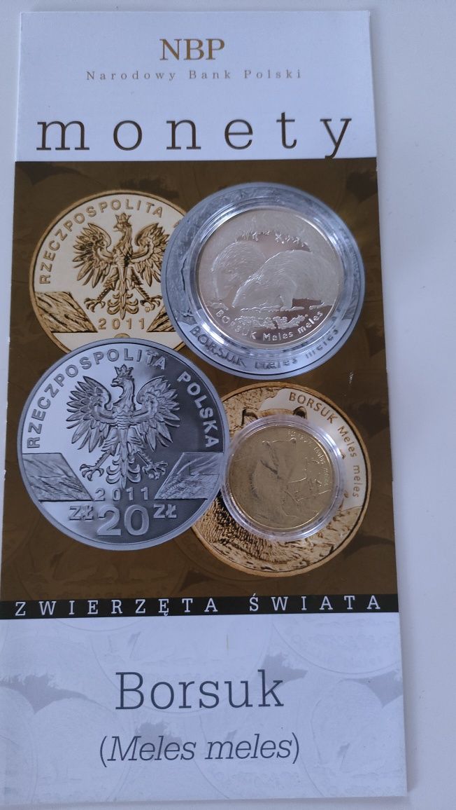 Srebrna 20 zł Borsuk