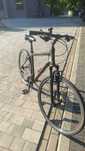 Rower crossowy Wheeler CROSS 6.1 rama 48 cm (159-178)