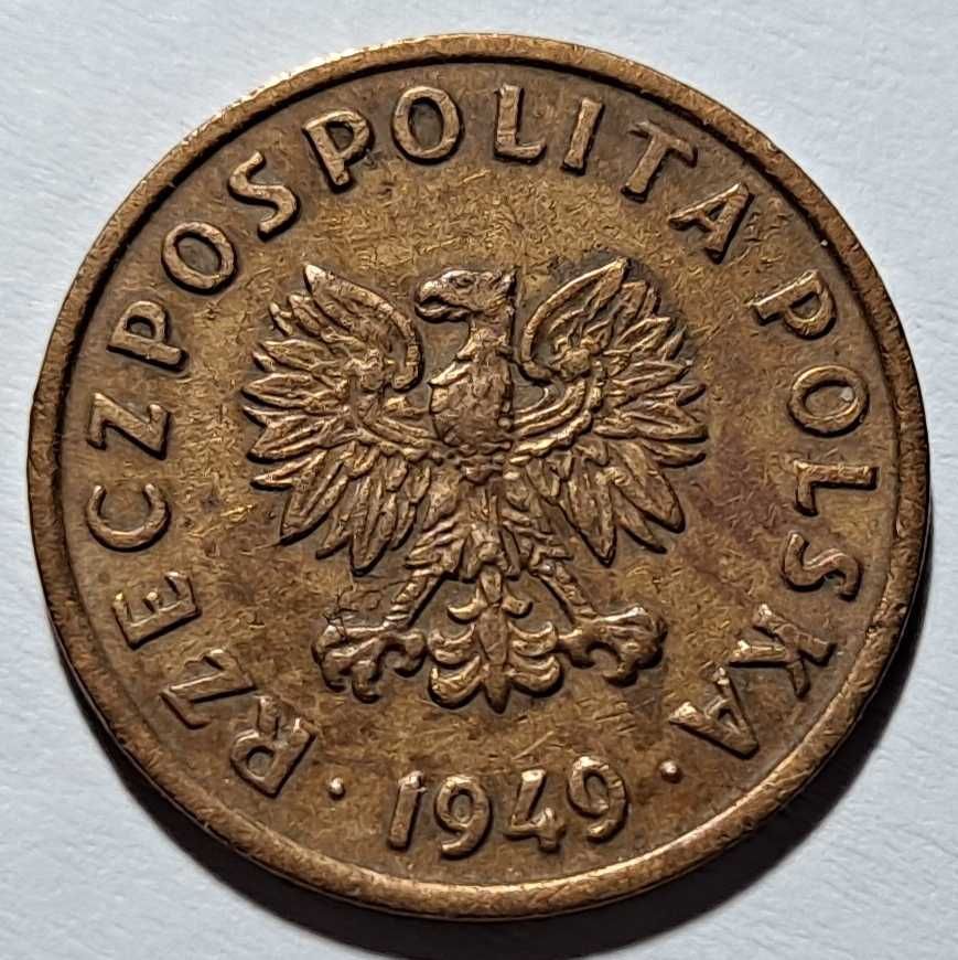 moneta - 5 Groszy  - (Polska)  Rzeczpospolita - 1949 r. - brąz