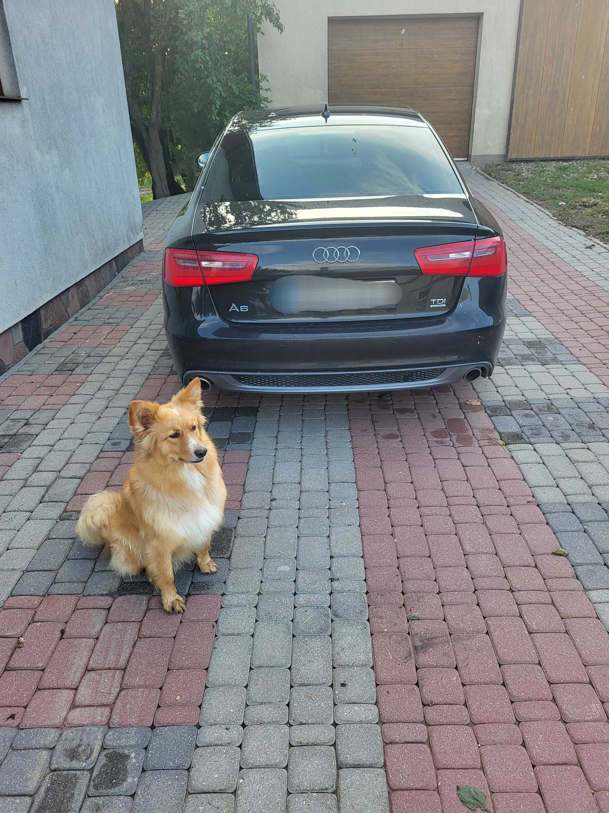AUDI A6 C7 3.0 tdi quattro s-line 2011