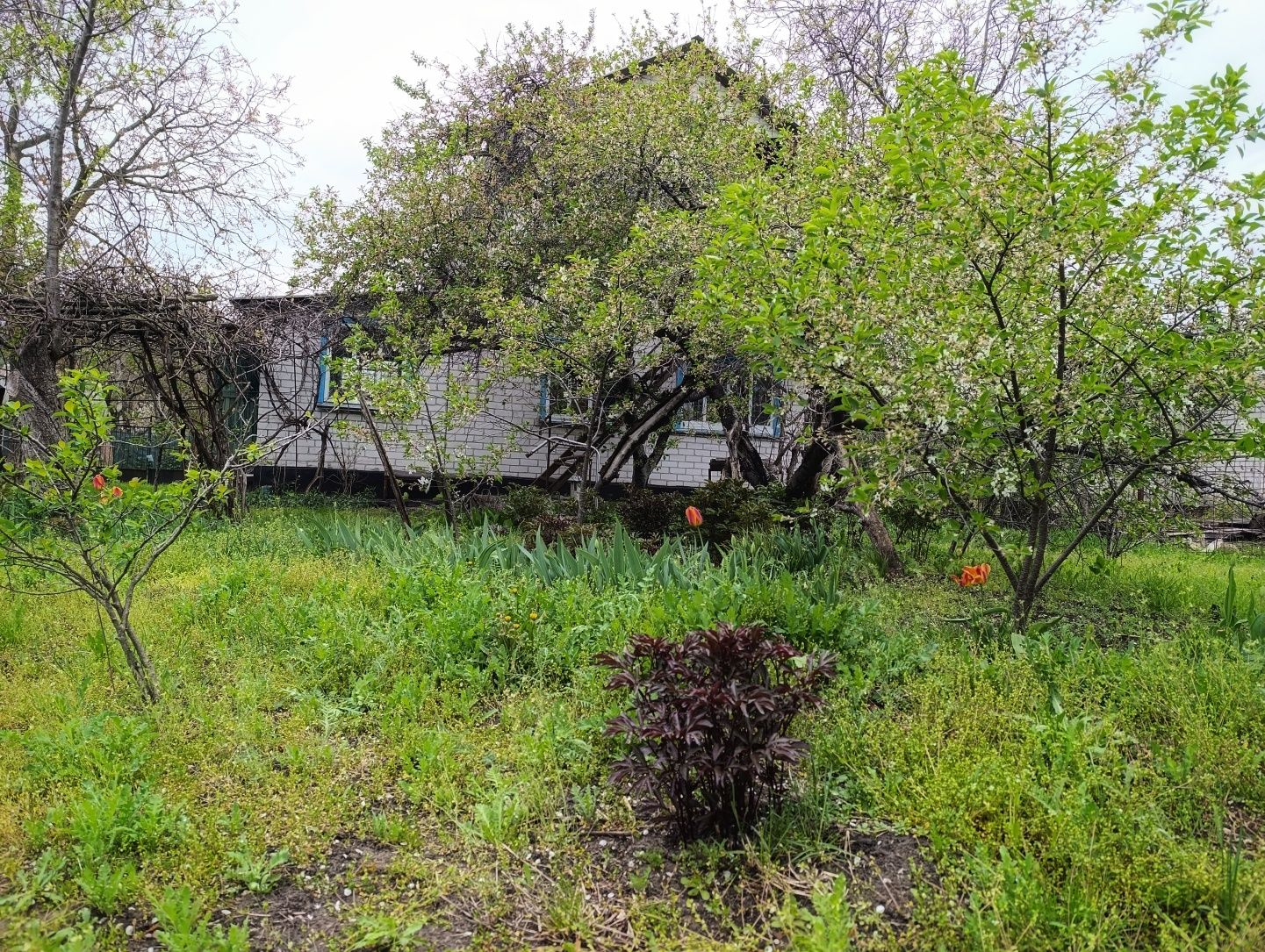 Продам будинок/ дачу в кооперативі Фотон, с. Лозівок