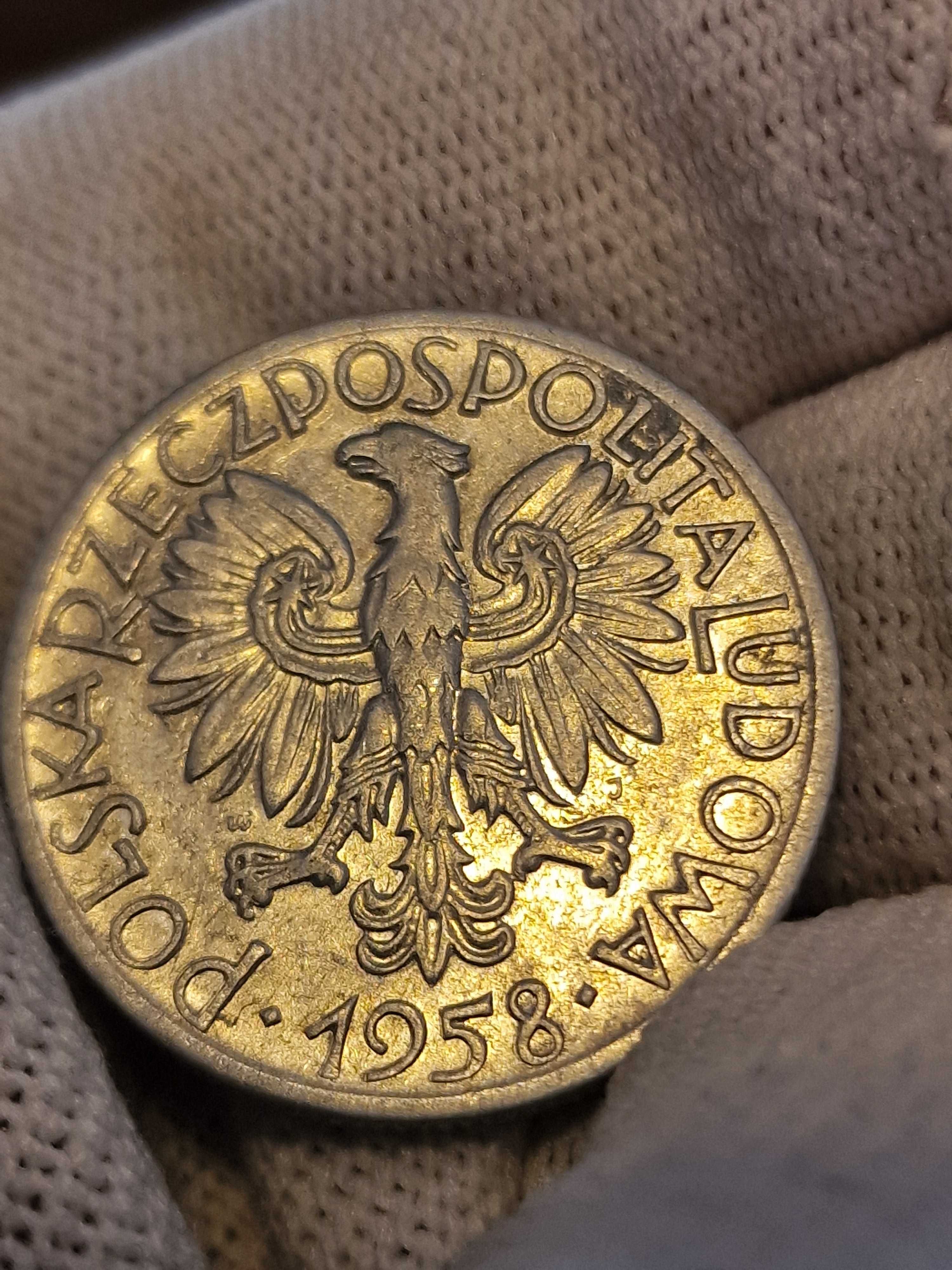 5zł 1958 Rybak wąska ósemka -rzadka