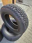 Opony Profil 185/70 R14 88T Winter Extrema Collin"s