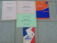 Manuais de apoio ao professor (português e francês)